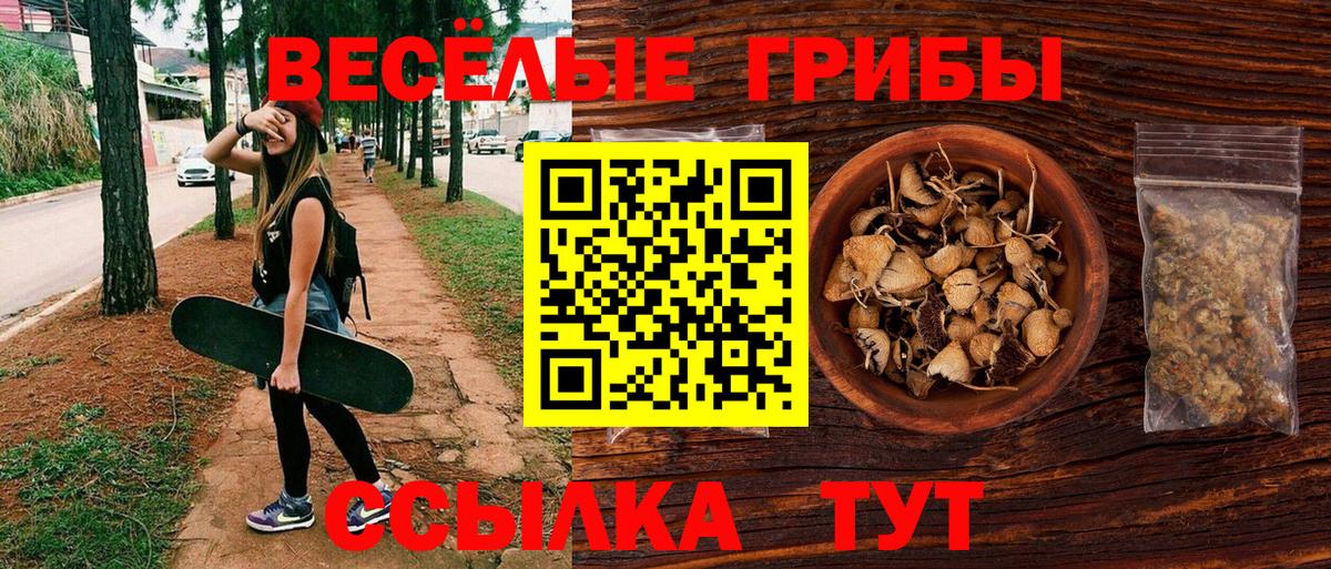 Галлюциногенные грибы ЛСД  Вход с VPN  Галлюциногенные грибы MAGIC MUSHROOMS  Гудермес 